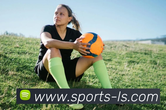 乐视体育发展历程